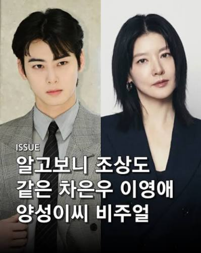 조상이 같다는 이영애와 차은우 · 5번째 이미지