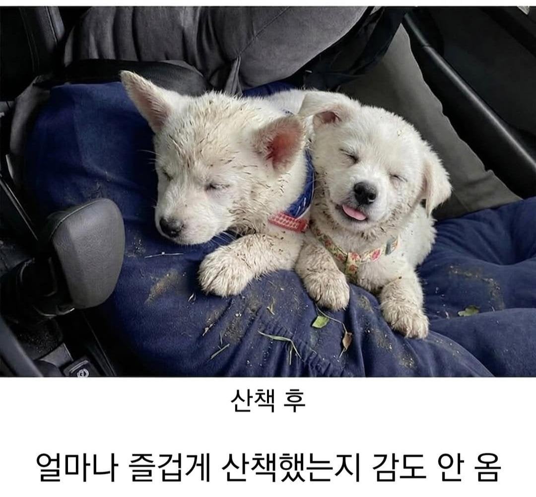 시고르자브르종 산책 전 후 · 2번째 이미지