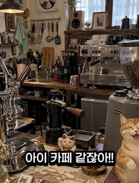 남의 가정집에 들어와서 커피를 시킨 남자 · 6번째 이미지