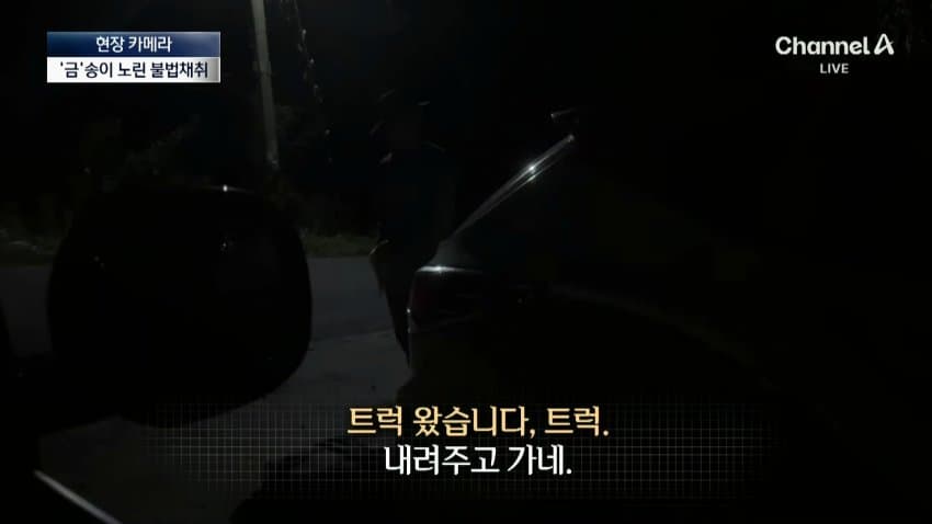 채널a) 송이버섯 1kg에 160만원...밤낮 추격전 · 19번째 이미지