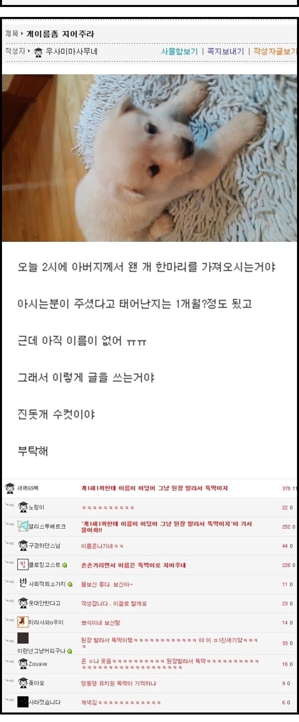 아버지가 데려온 개 이름좀 지어주라 · 1번째 이미지
