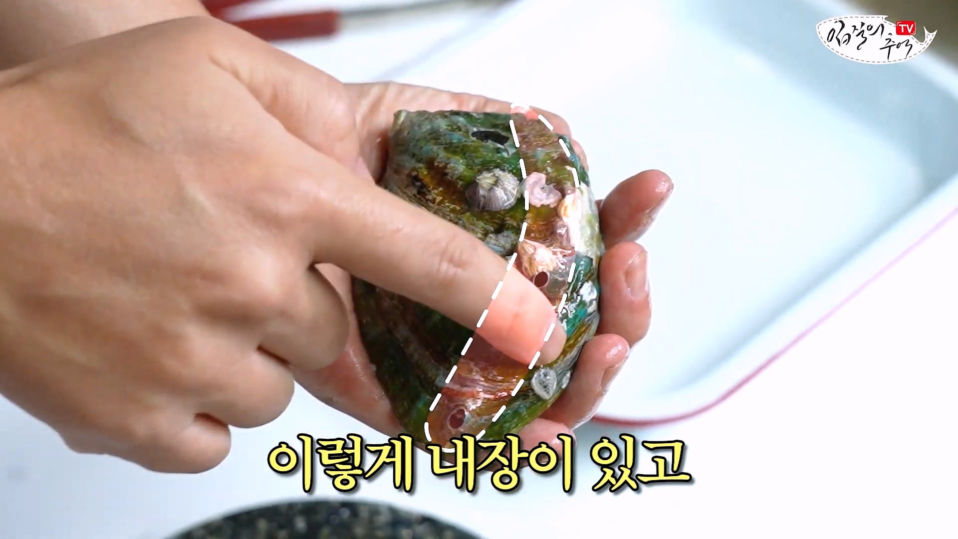 암컷 아저씨가 알려주는 손 쉬운 전복 손질 방법 · 33번째 이미지