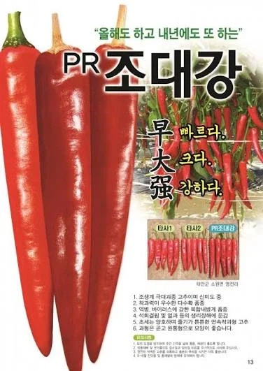 기합찬 국산 고추 🌶️품종들 이름 · 2번째 이미지