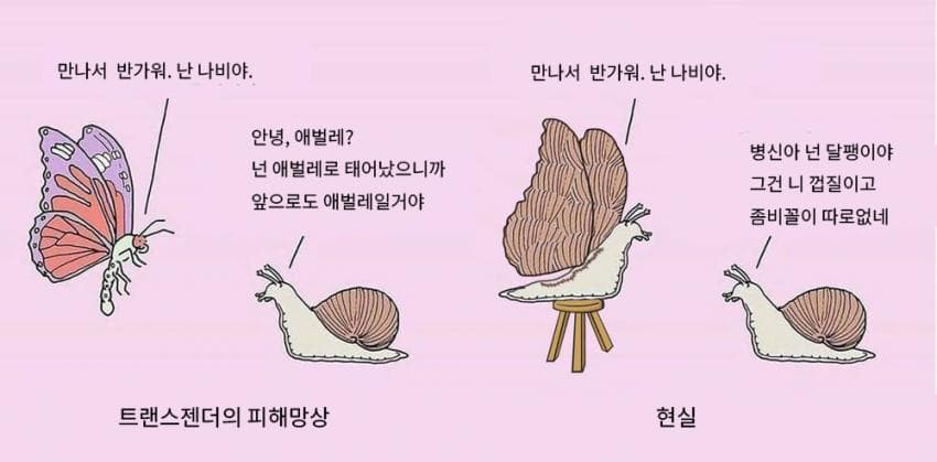 싱글벙글 해외 밈 번역 모음 · 7번째 이미지