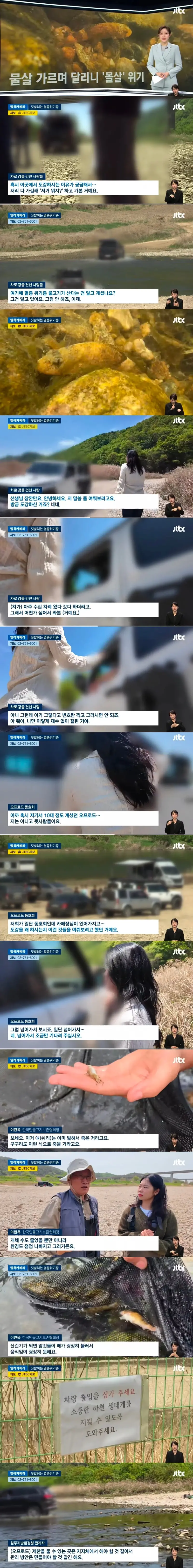 오프로드 동호회 때문에 몰살 위기인 멸종위기 물고기 · 1번째 이미지