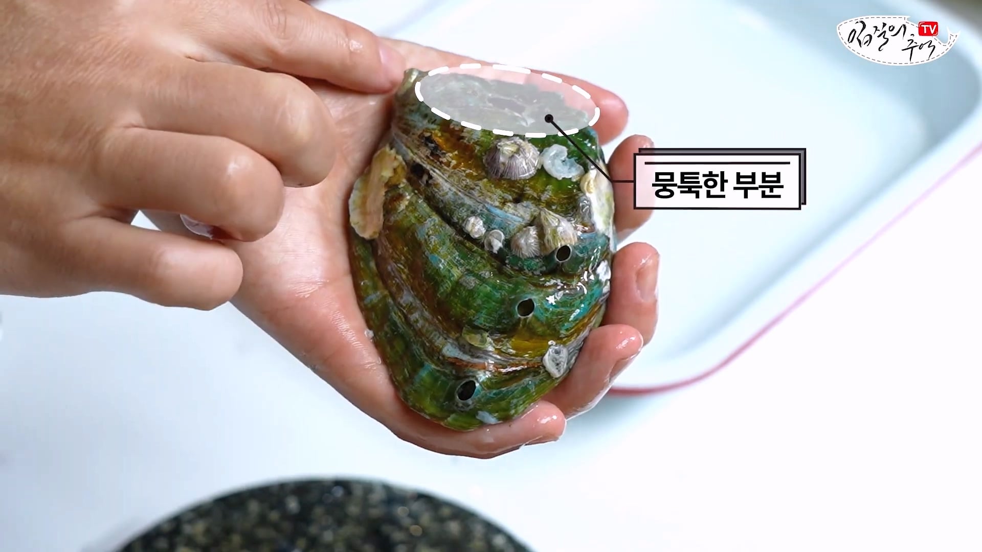 암컷 아저씨가 알려주는 손 쉬운 전복 손질 방법 · 30번째 이미지
