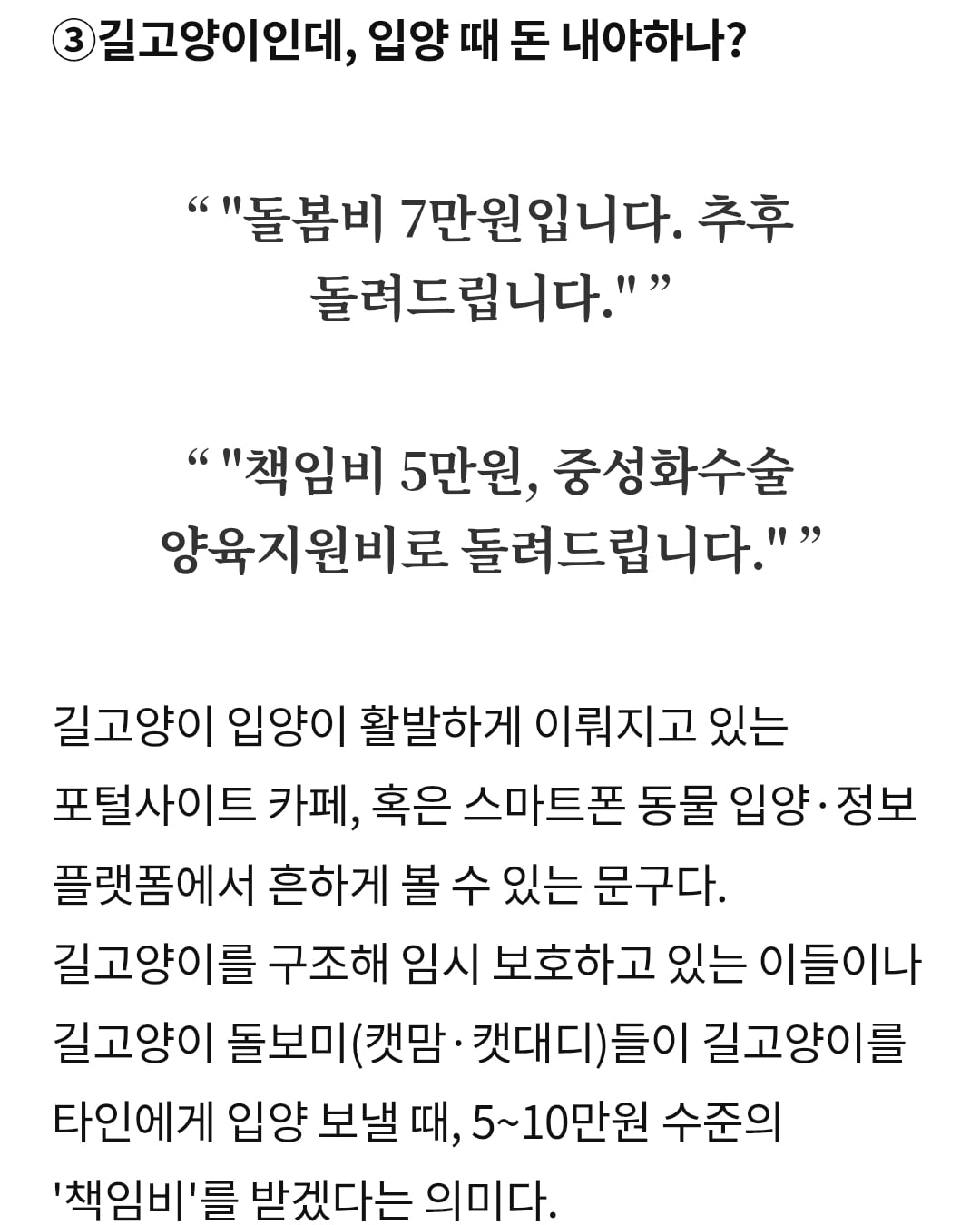 펫샵에 발광하는 트페미노괴들이 많은 이유 · 2번째 이미지