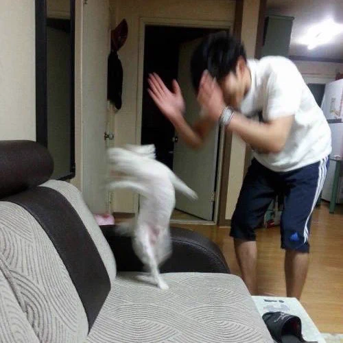왜 범죄자를 변호하지? · 2번째 이미지