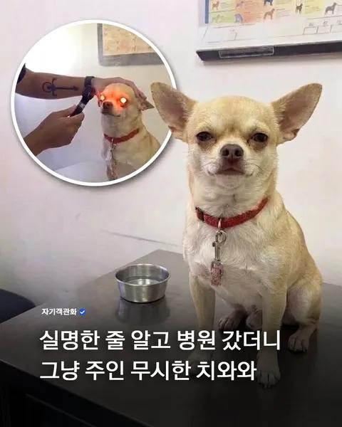 실명인줄 알고 병원 간 좆와와..jpg · 1번째 이미지