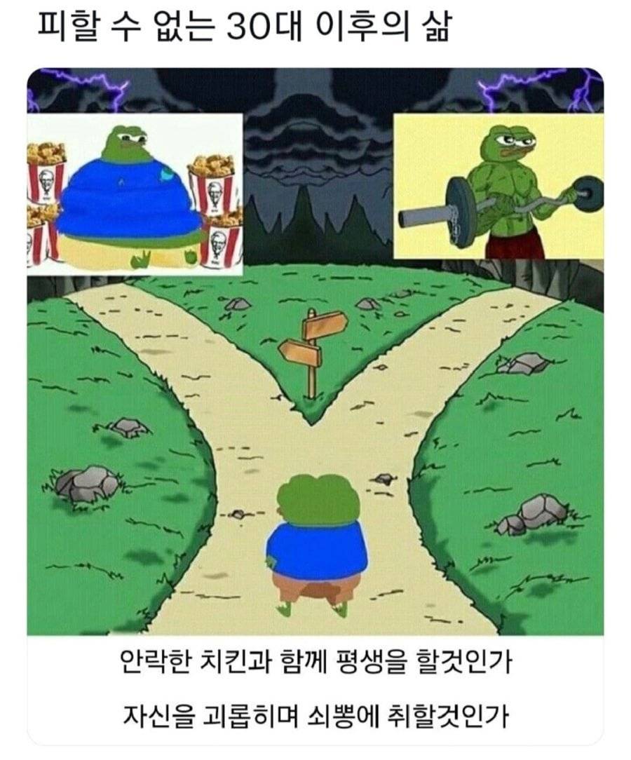 30대 이후의 삶은 두갈래가 있다.