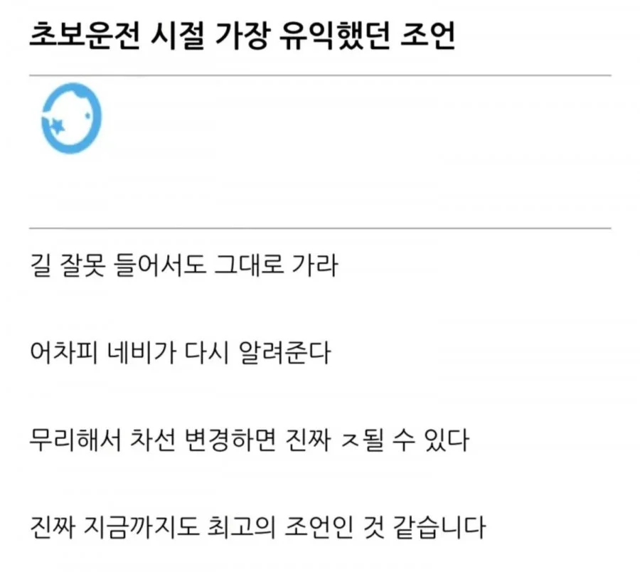 초보 운전 시절 가장 유익했던 조언