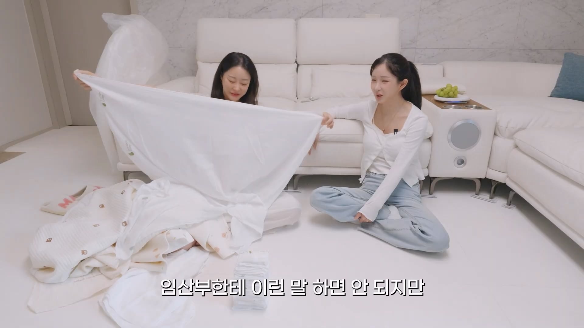 수익창출 직전에 멤버가 임신한 그룹 ㅋㅋ