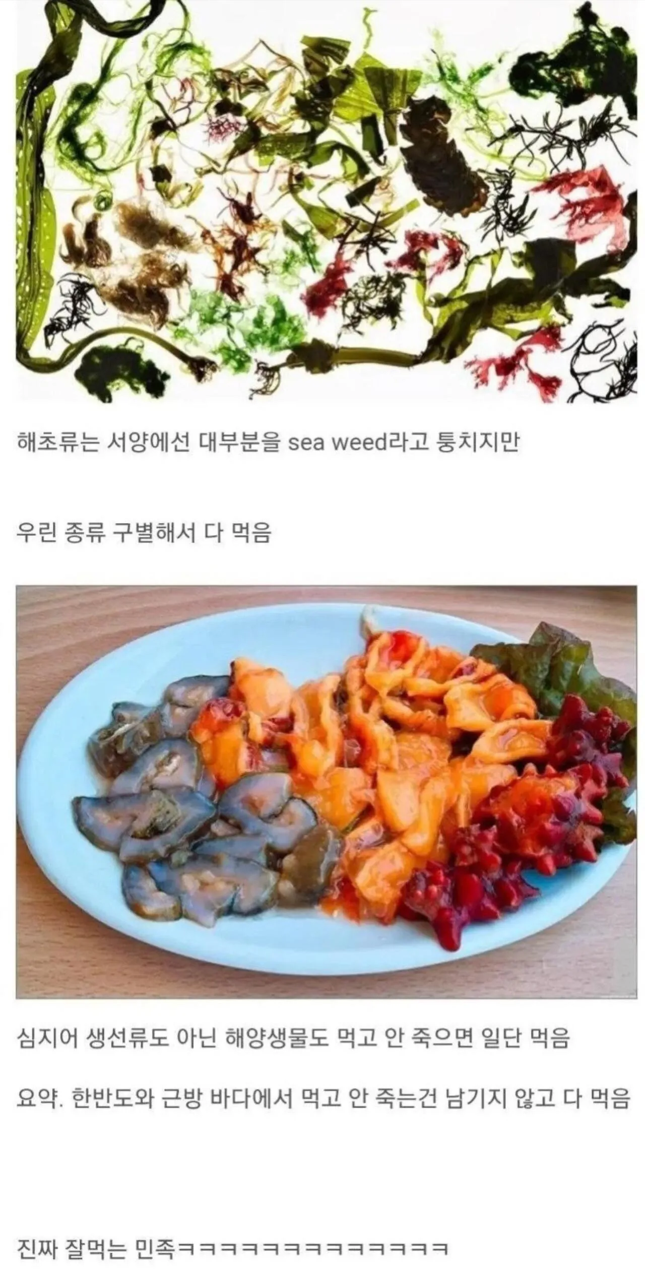 뭐든지 잘 먹는 한국인들