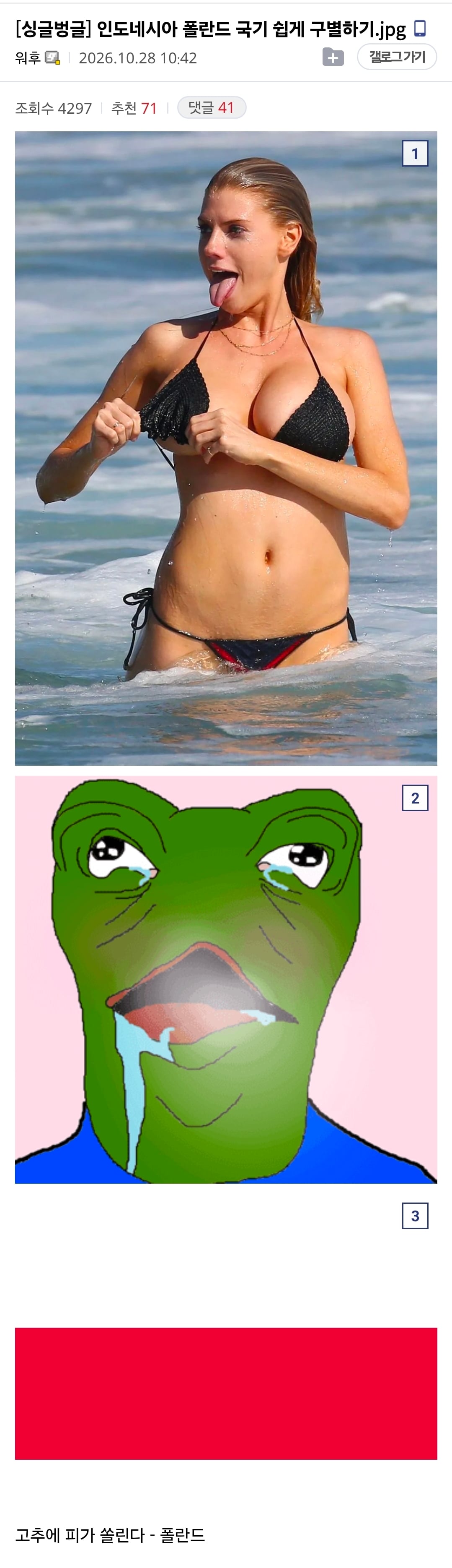간단하게 폴란드 인도네시아 국기 구별하기..jpg