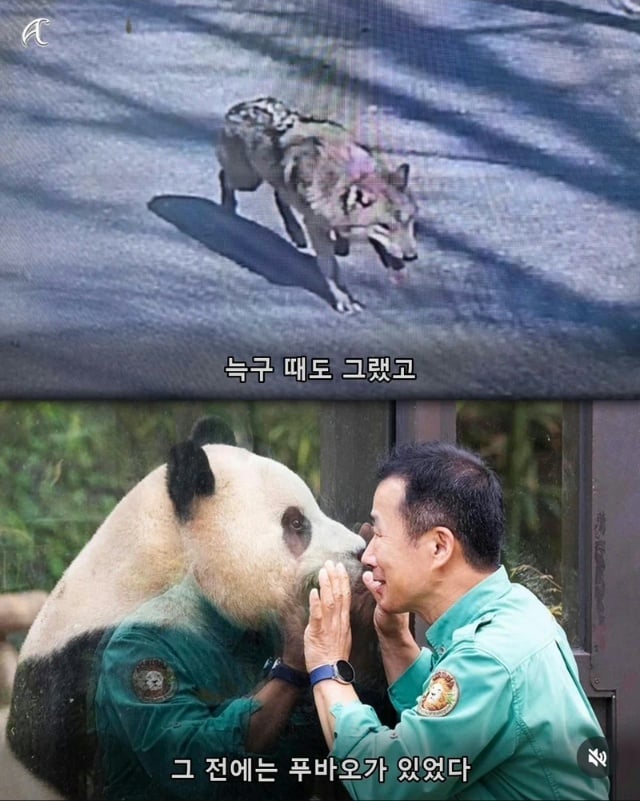인방주의)부캉이 사태를 본 침착맨 · 6번째 이미지