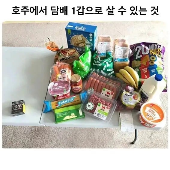 호주에서 담배 1갑으로 살 수 있는 것