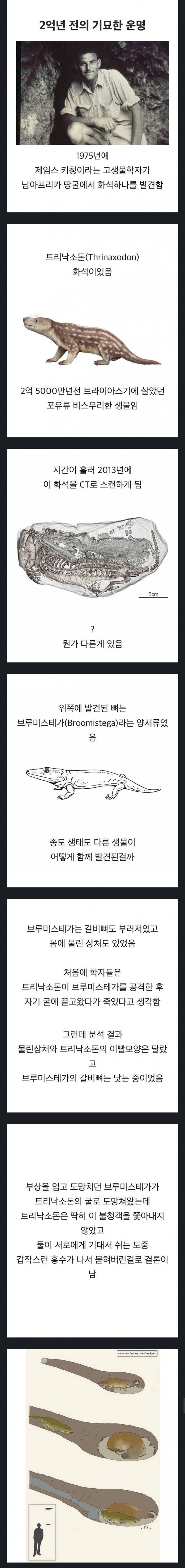 [실제사례] 2억년의 시간을 함께한 친구...