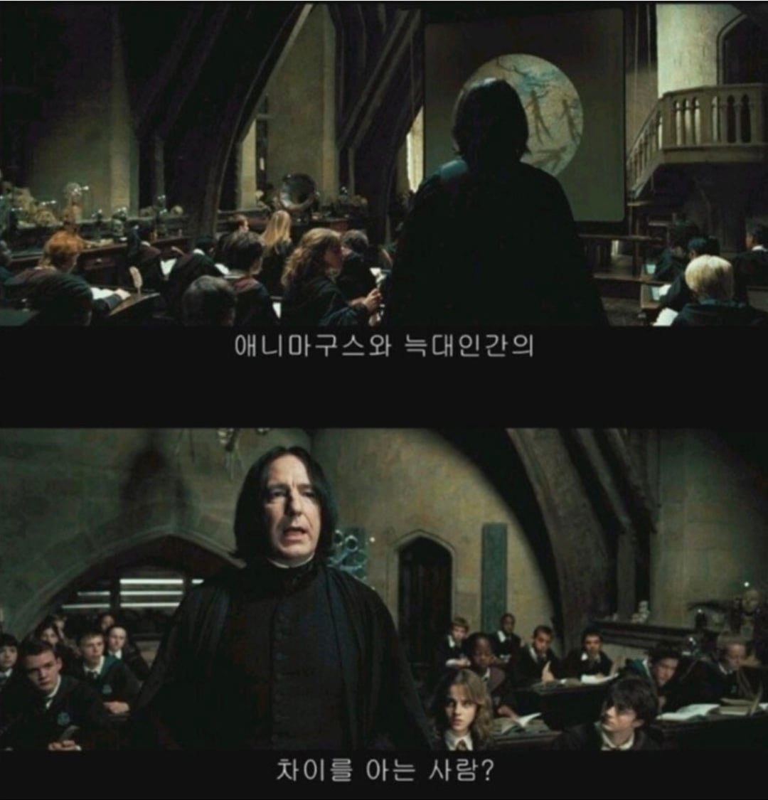 의외로 다 가르쳐주었다는 스네이프 교수.jpg · 4번째 이미지