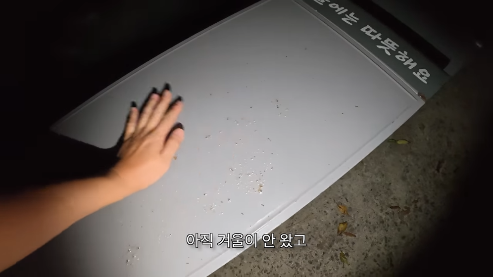 🏝️ 스압) 제주도를 걸어서 횡단하다가 숙소를 못 찾으면 일어나는 일 🚶 · 24번째 이미지