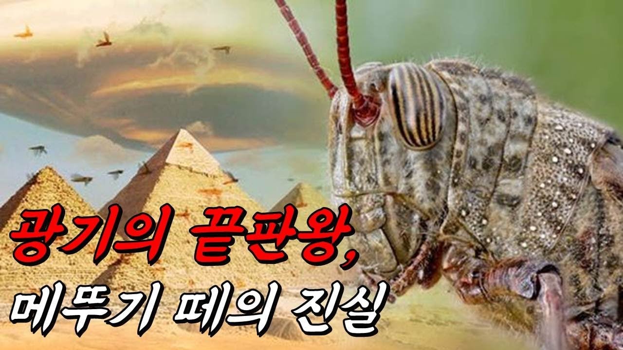 무슬림은 메뚜기와 같다. · 2번째 이미지