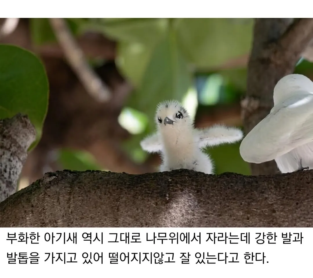 태어난 김에 대충 사는 새.jpg · 4번째 이미지