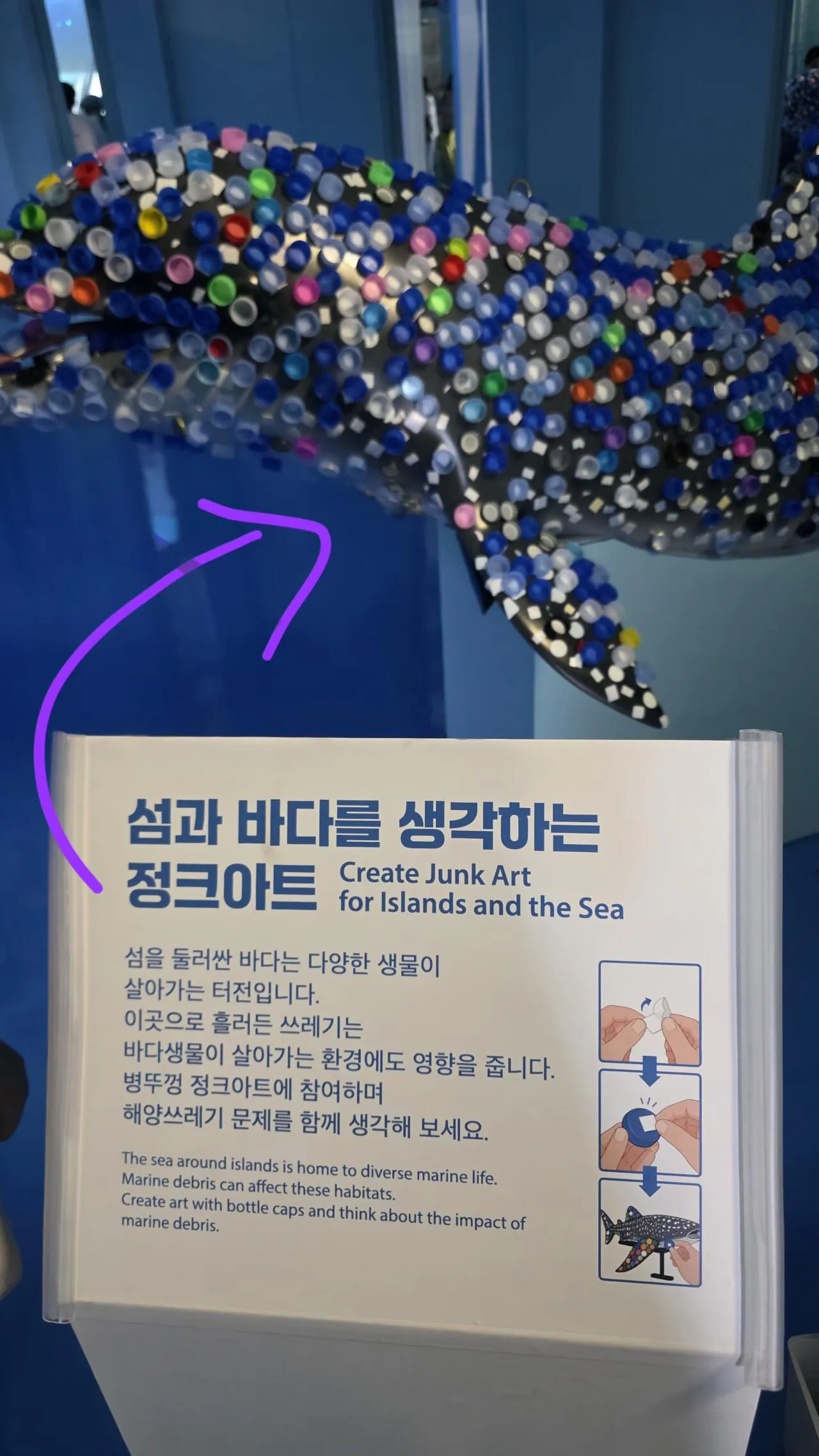 20260912_135032.heic.auto.jpg 여수섬박람회 내돈내산 끔찍한 후기
