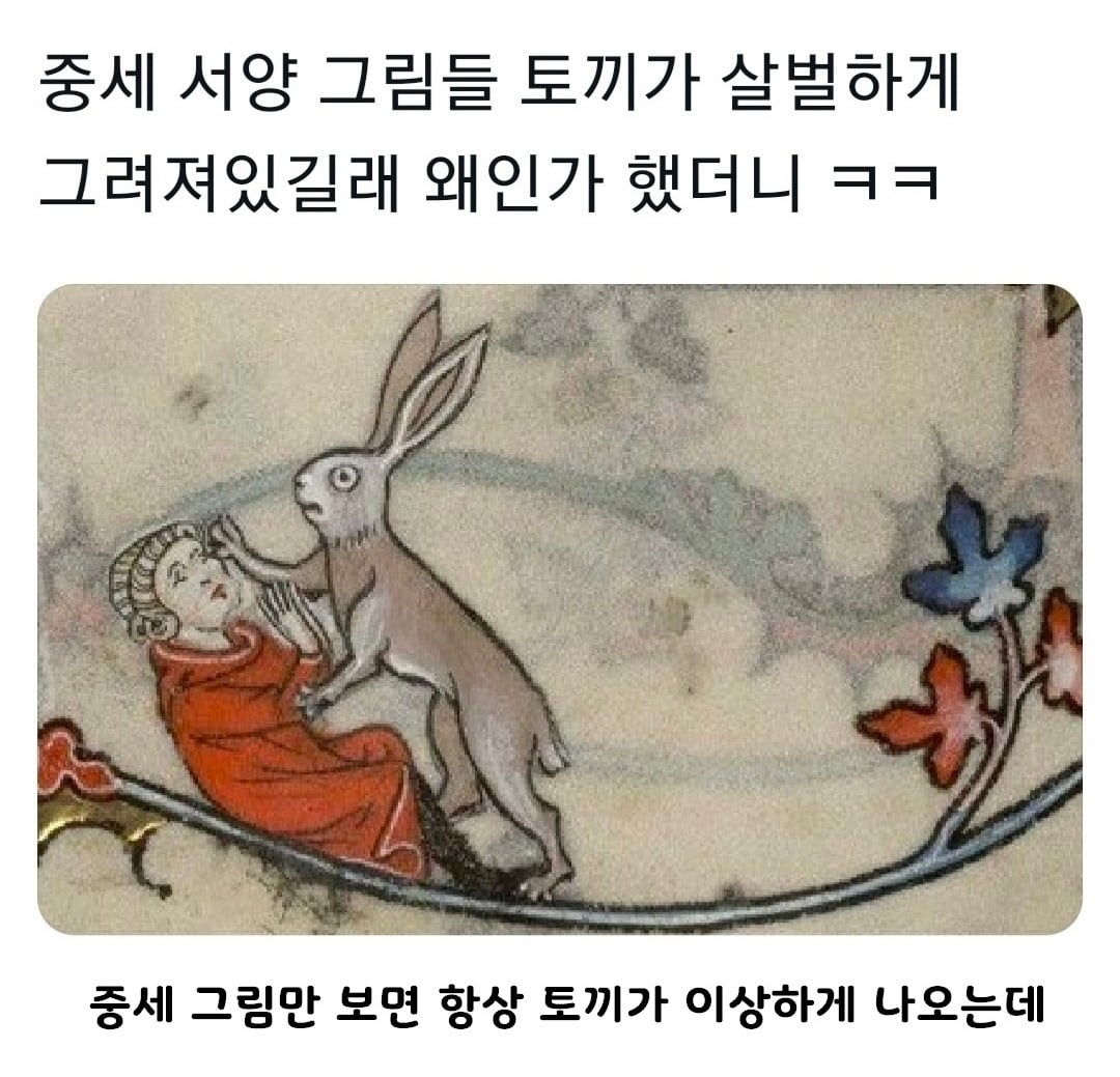 중세 서양 토끼 그림들이 살벌하게 생긴이유