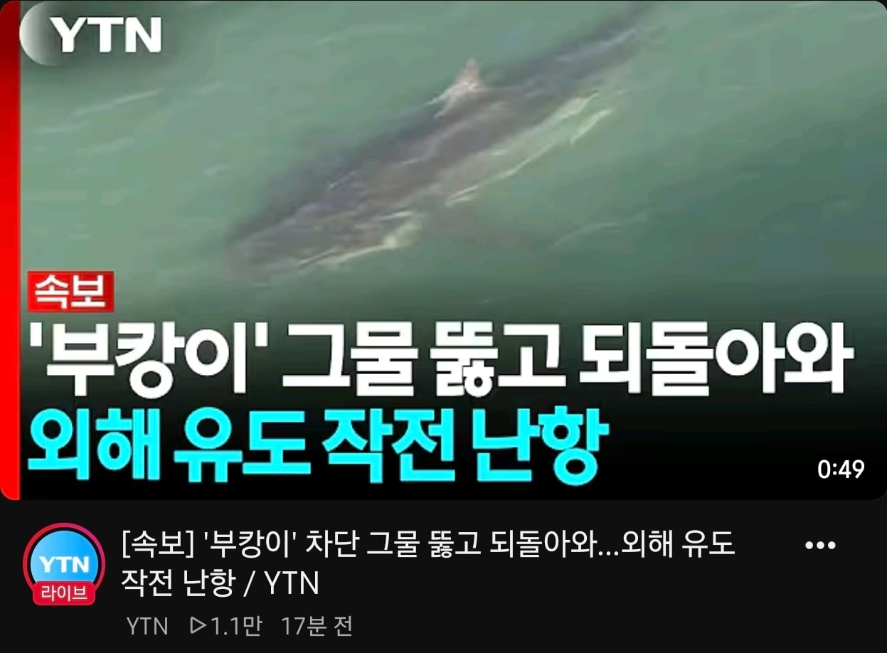 부캉이 컴백 · 1번째 이미지
