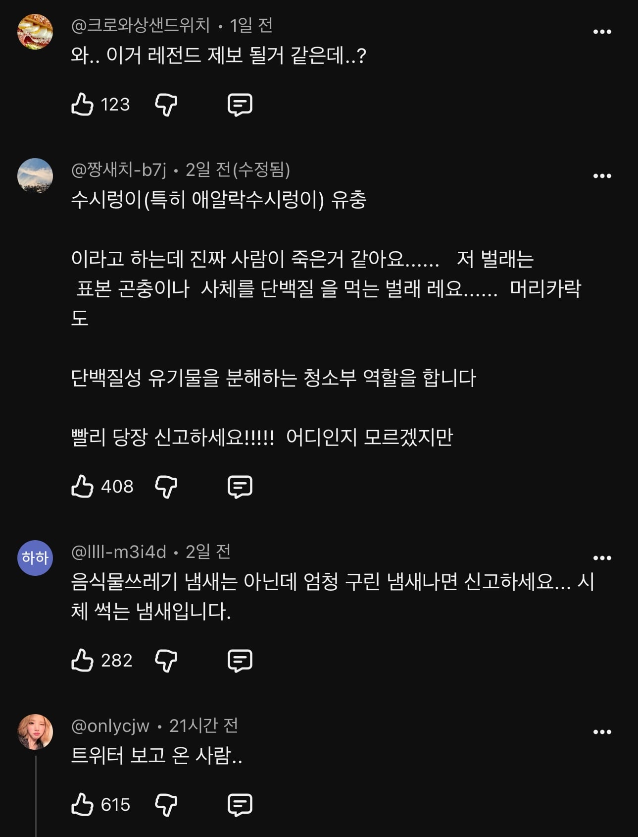 지금 난리난 곤충유튜버 다흑 커뮤니티 근황…jpg · 2번째 이미지