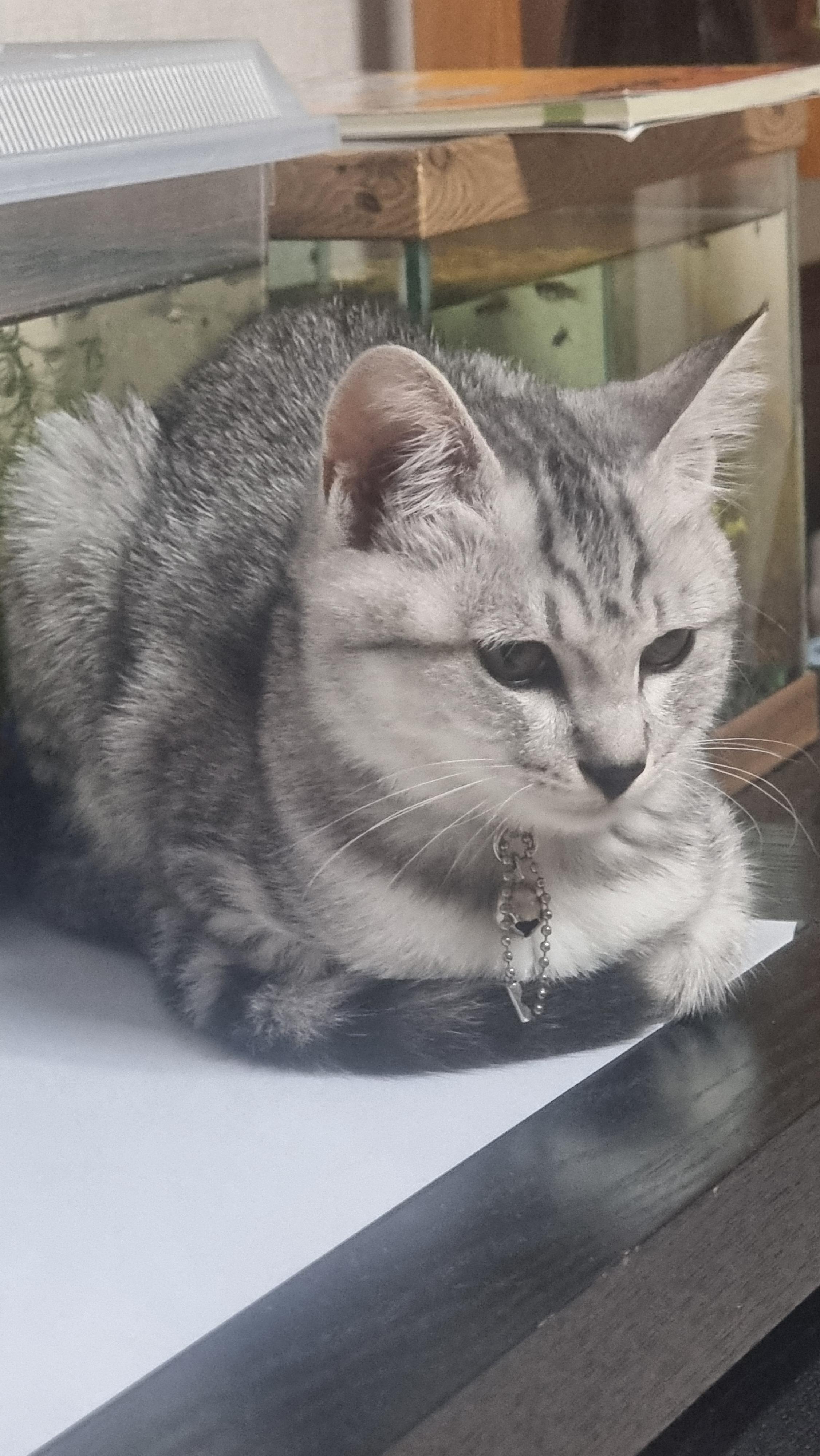 실수로 ㅇㄱㄸ글 써버렸네 미안해 애들아 🥺 · 8번째 이미지