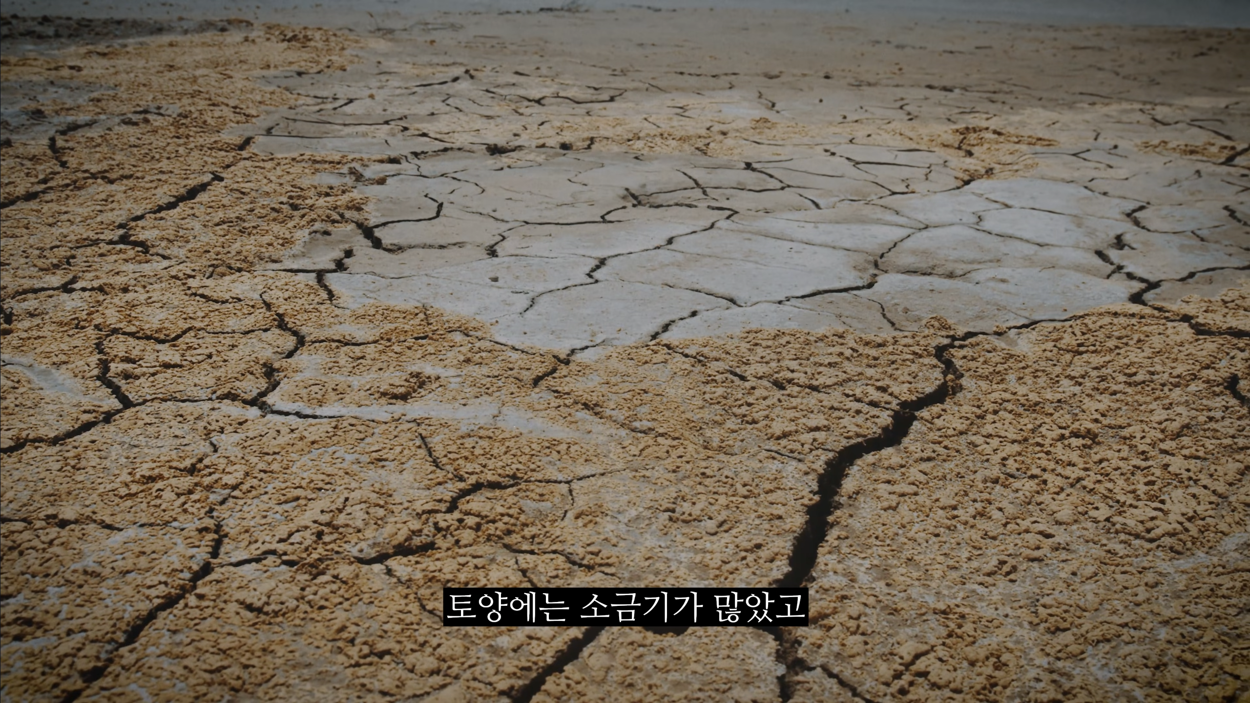 의외로 전쟁나고 패배시 최후의 도피처로 가능한땅 · 11번째 이미지