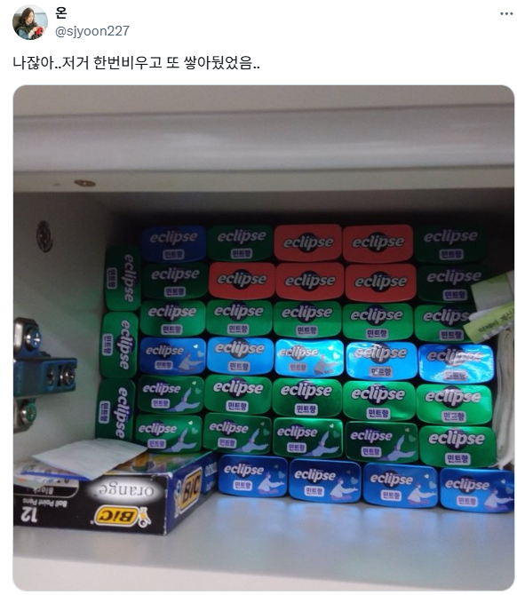 이클립스 빈통을 못버리는 사람들 · 1번째 이미지