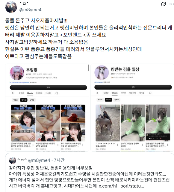 지금 우정잉과 킹율이 트페미들한테 죽도록 물어뜯기고 있는 이유