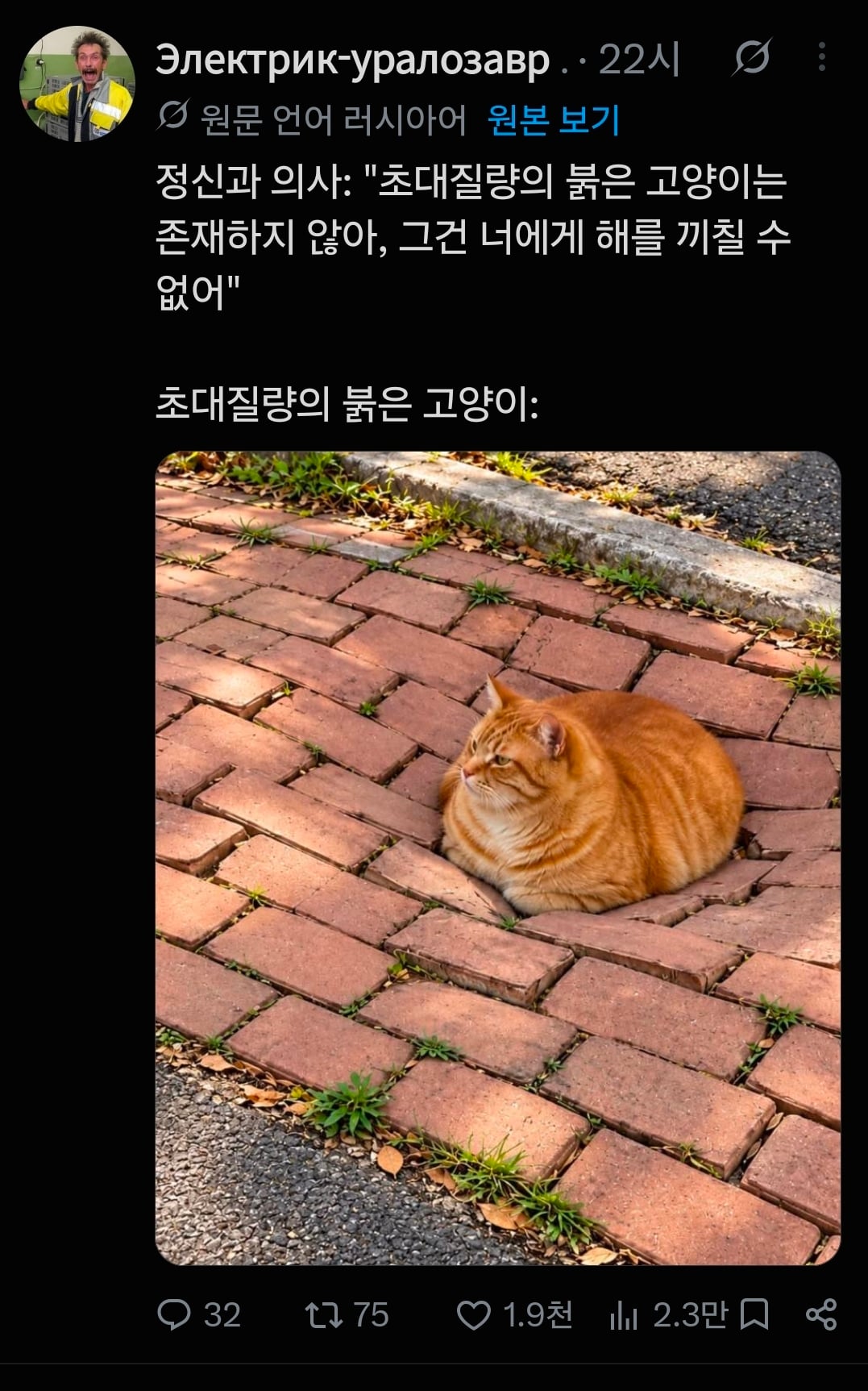 질량이 시공간을 왜곡시킨다는 걸 증명한 고양이