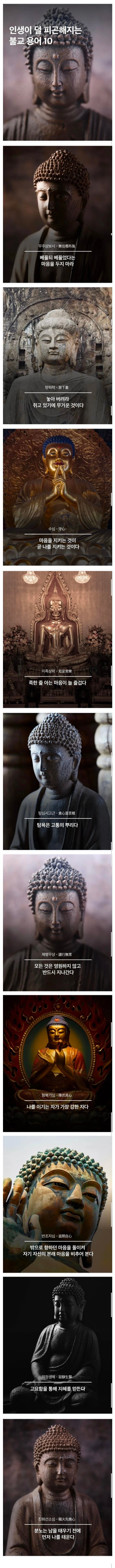 인생이 덜 피곤해지는 불교 용어 10선 · 1번째 이미지