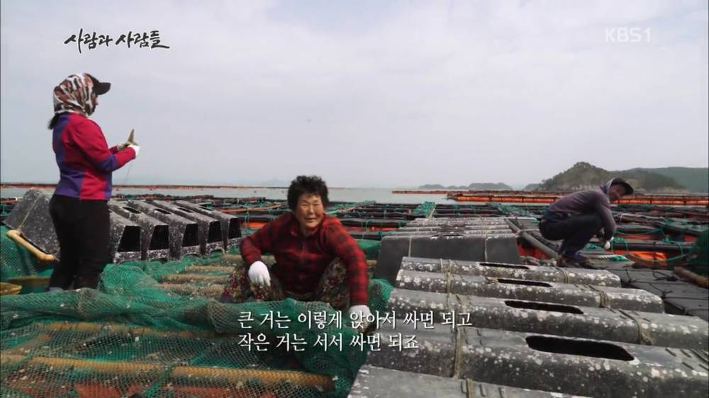 양식장에서 신호가 왔을 때 우짜는거야 그럼 · 3번째 이미지