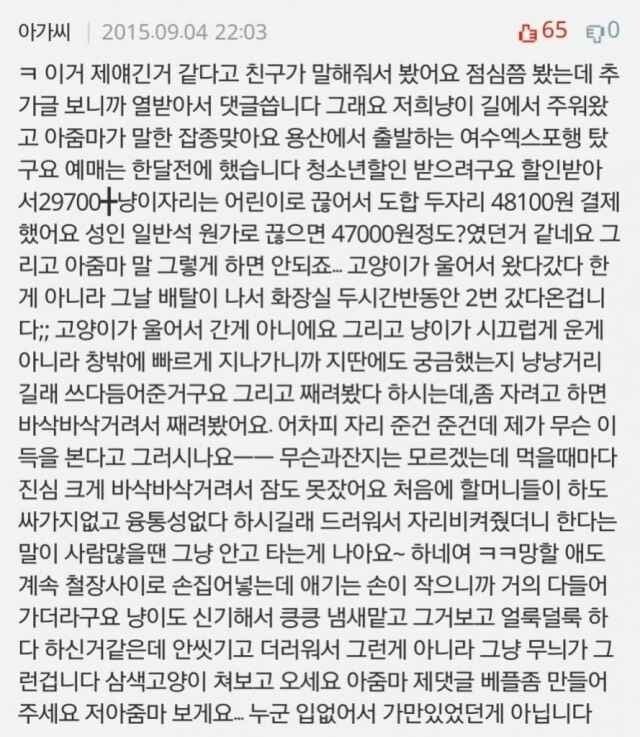 간 KTX 입석 빌런 만화 원글...jpg · 3번째 이미지