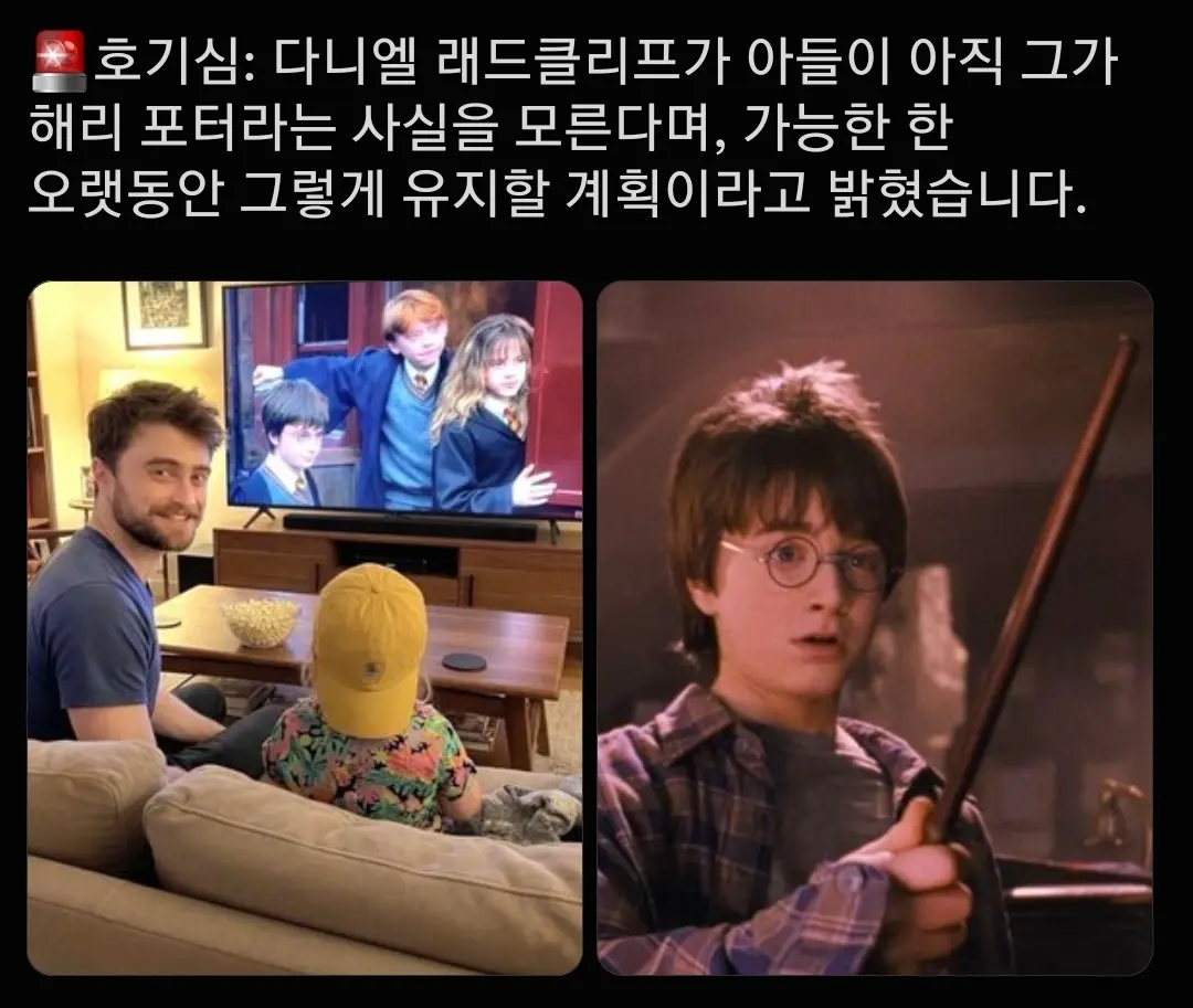 해리포터 배우만의 특권.jpg · 1번째 이미지