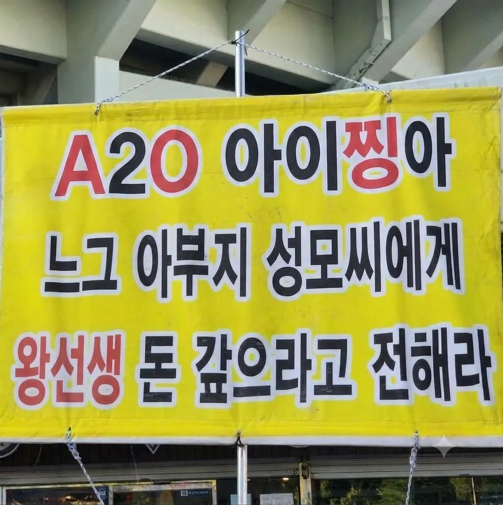수만옹의 a20이 중국 진출시 보게 될 광경 · 1번째 이미지