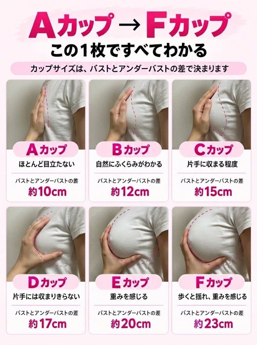 그립감으로 알아보는 젖가슴 크기 · 1번째 이미지
