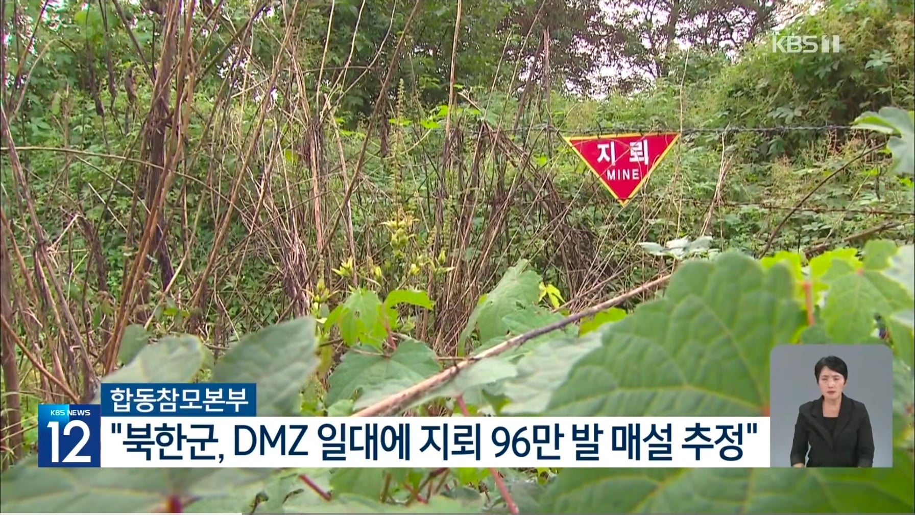 북한군 DMZ에 2년간 지뢰 96만발 매설 추정