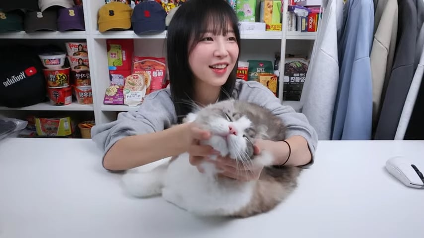 개오랜만에 라이브 방송키고 고양이 자랑하다가 대참사난 쯔양 · 3번째 이미지