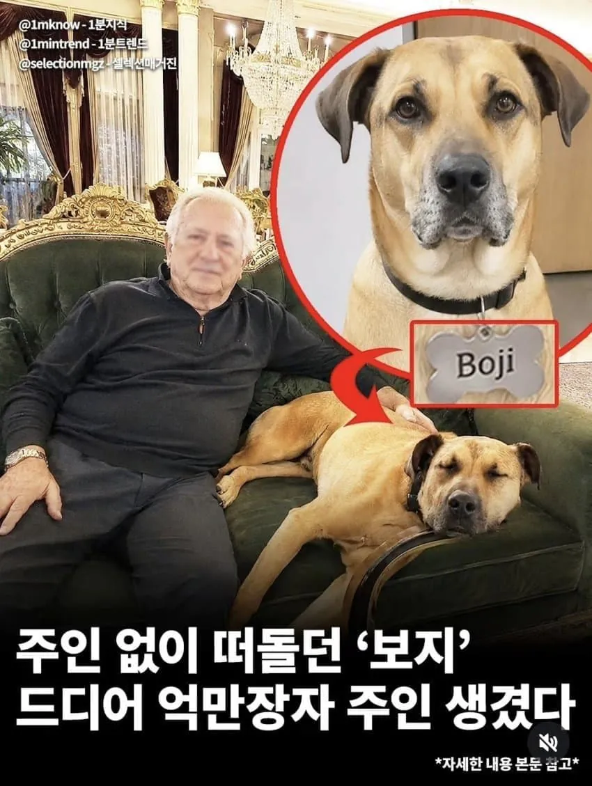 부자 주인님이 생겨 목줄차고 신난 보지 ㅋㅋ
