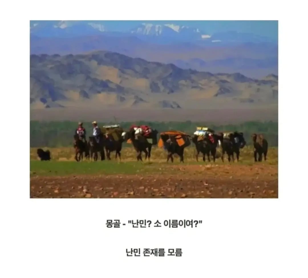 동북아 국가들의 난민 안받는 법.jpg · 5번째 이미지
