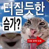 icon_1