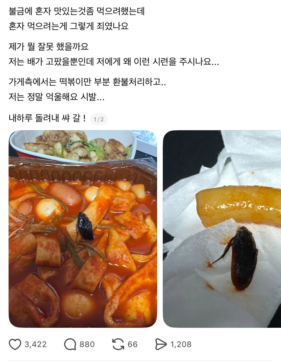 혐주의) 헬조선 K-분식 프렌차이즈 사과문 근황 · 2번째 이미지