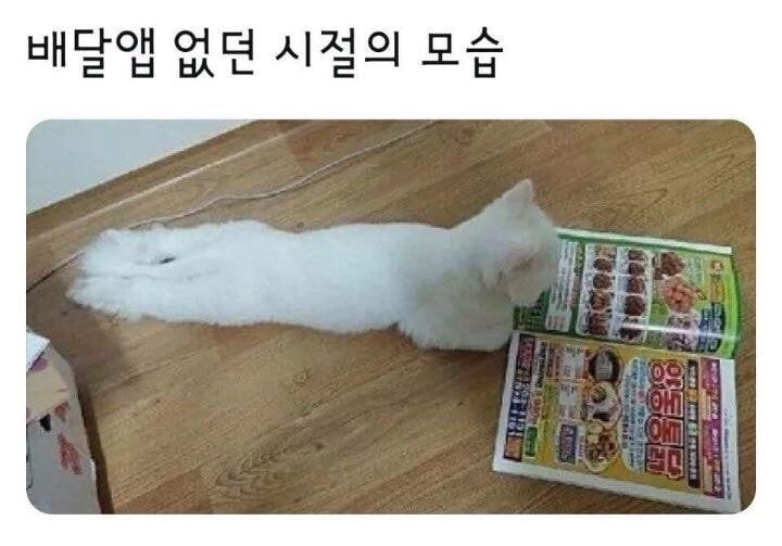 배달앱 없던시절 · 1번째 이미지