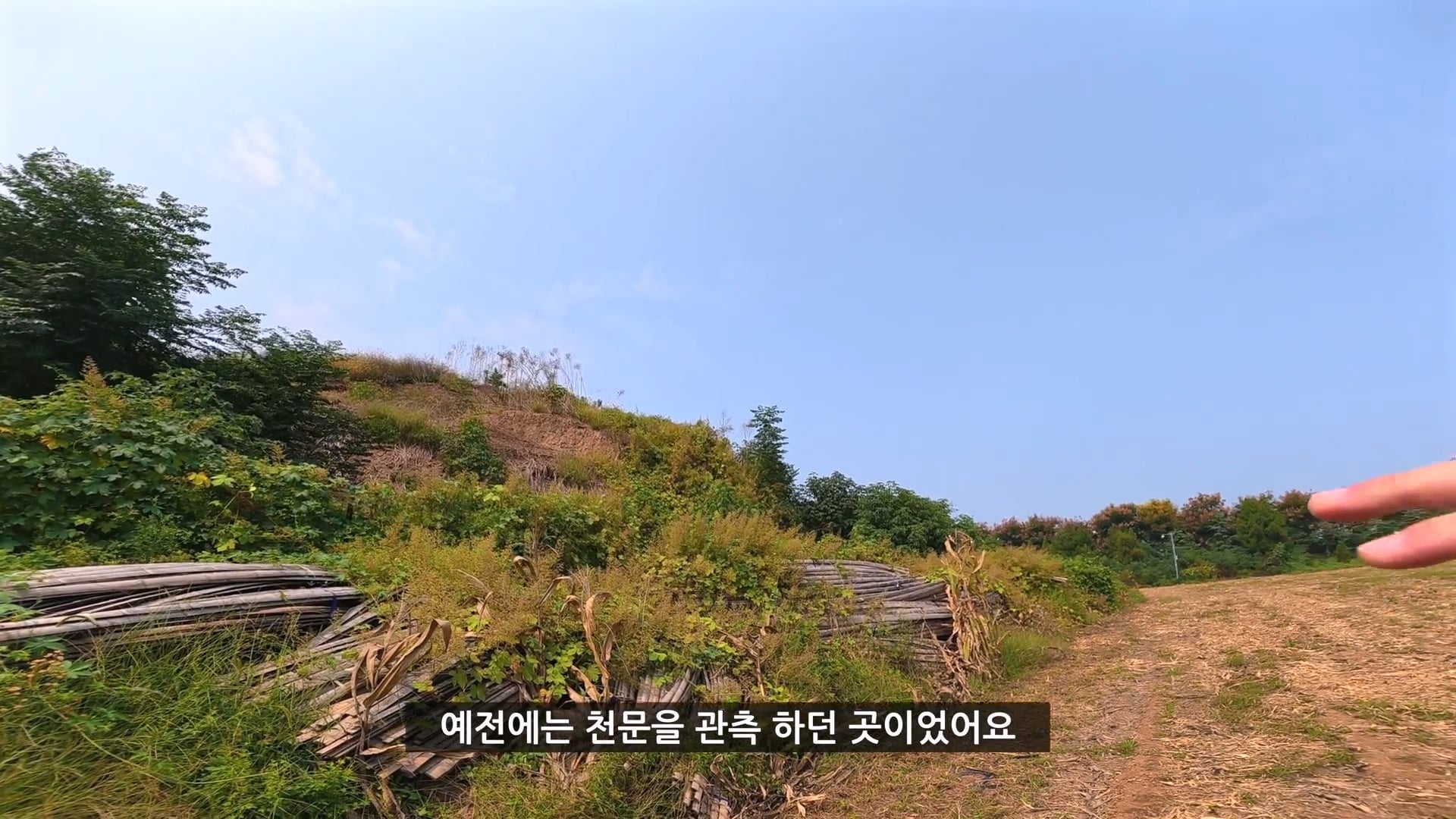 유튜버가 촬영 다하고 올때까지 기다리겠다는 택시기사 ㅋㅋㅋ · 17번째 이미지