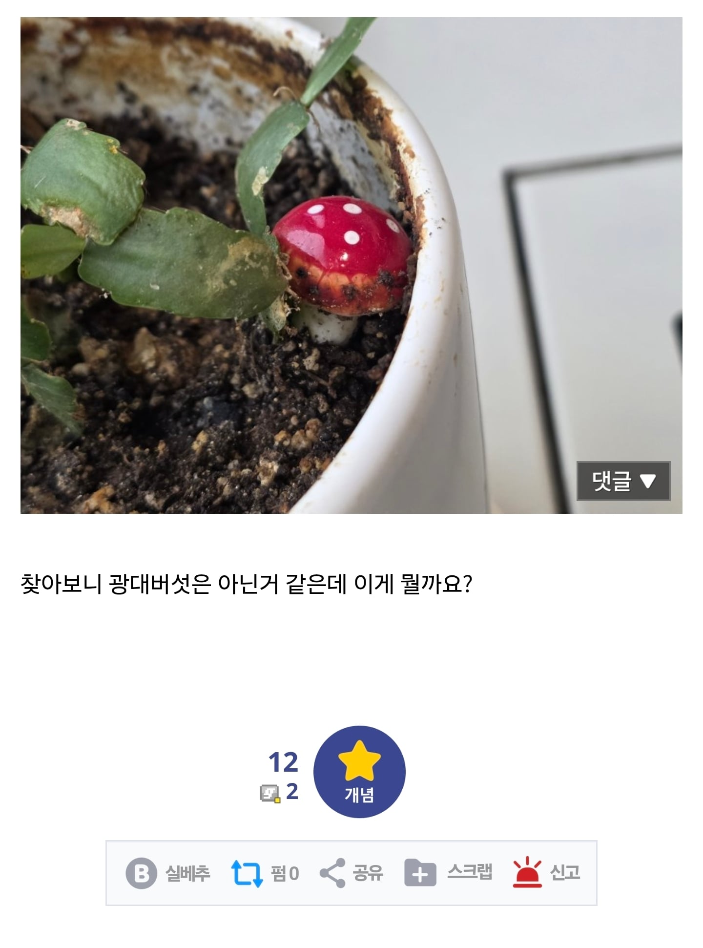 주사위 닮은 버섯인데 뭘까요 · 2번째 이미지