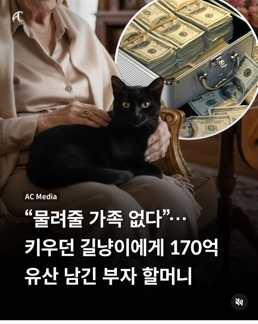 물려줄 가족없다 키우던 길냥이 에게 170억 유산 남긴 부자 할머니. · 1번째 이미지
